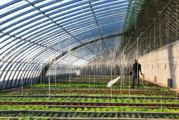 中国十大蔬菜种植基地，张掖上榜，第一是中国蔬菜之乡