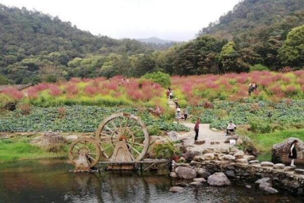 广州十大自驾游景点排行榜，白云山上榜，第二被誉为长寿村