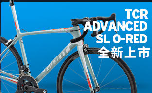 中国十大自行车品牌排行榜