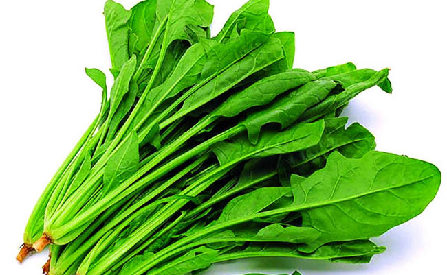 盘点十种具有抗衰老功效的食物排行 菠菜排名第