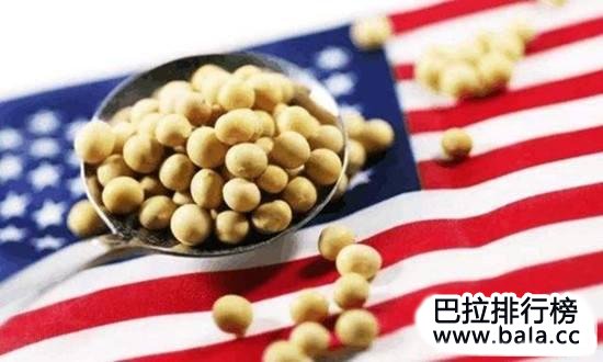 世界最大的十大大豆生产国排名