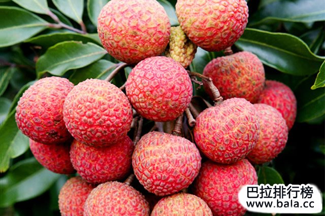 广州著名特产排行榜前十名
