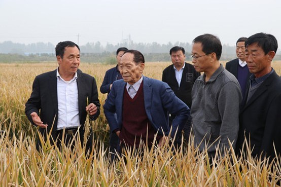 中国最新十大超级工程 港珠澳大桥榜上有名