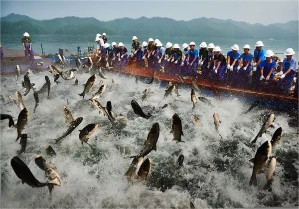 世界四大渔场是指哪些渔场？北海道渔场位居第一