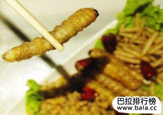 舌尖上的重口味——仫佬族吃虫节