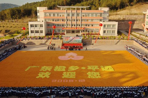 世界上最大的水果拼图，面积达2200平方米
