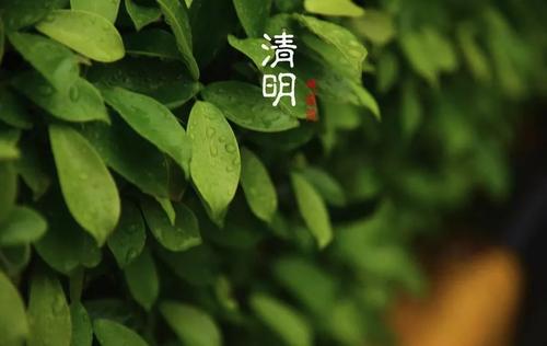中国三大鬼节的来历，都有哪些寓意？