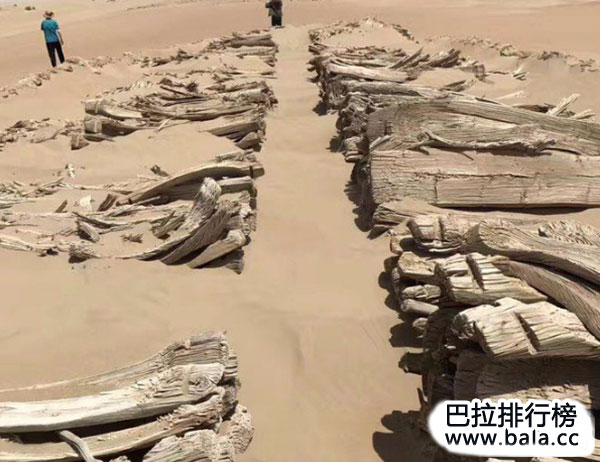 新疆大沙漠考古十大发现，尼雅遗址上榜