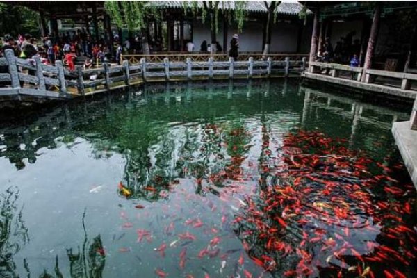 中国泉水最多的城市，济南是著名的“泉城”