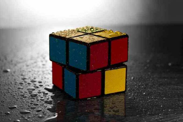 世界二阶魔方最快纪录，世界纪录0.49s