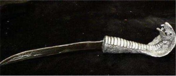 世界上最毒的刀，蝮蛇刀用毒液浇铸而成
