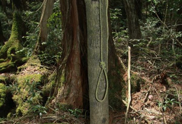 日本十大真实灵异事件，青木原树海排在榜首