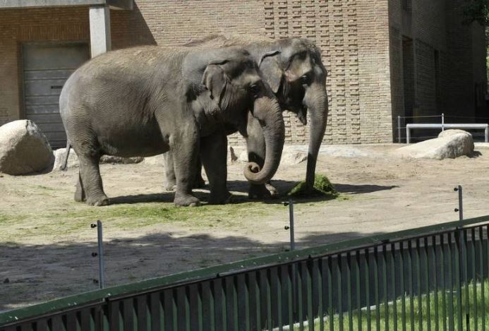 世界十大神奇的动物园：北京动物园入围，柏林动物园排榜首