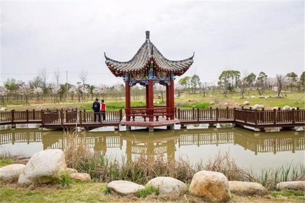 武汉十大旅游景点逛吃逛吃武汉的街道