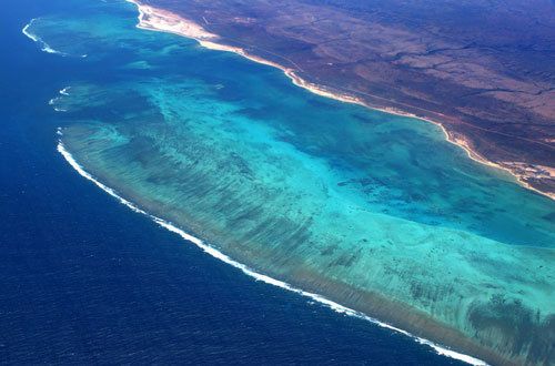 世界最大的环状珊瑚岛 圣诞岛面积642平方公里