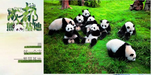 成都有哪些好玩地方？成都七大必游景点推荐