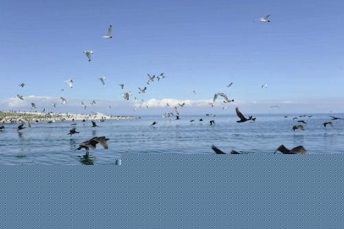 中国最大的湖泊排名，青海湖稳居首位