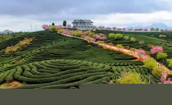 广东梅州旅游必去十大景点