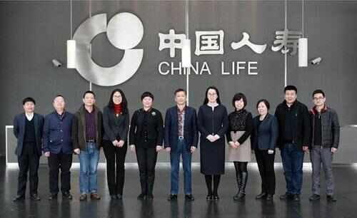 国内10大最赚钱的保险公司，中国人寿排榜首