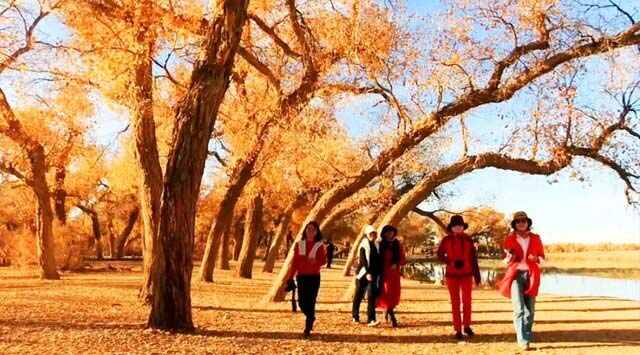 十月份最适合去哪里旅游？10月不得不去的11个旅行地