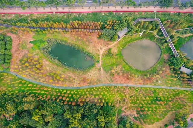 广州值得去的公园有哪些？广州10大必玩的公园推荐