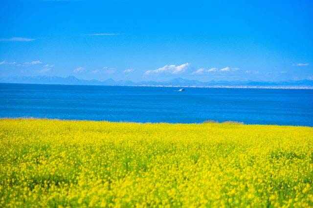 青海中秋节去哪里旅游合适？青海十大中秋节旅游景点