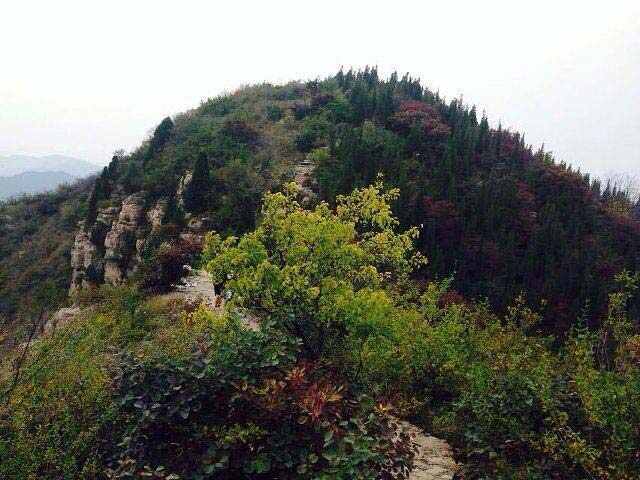 潍坊旅游景点排名前十，潍坊市旅游攻略必玩的景点