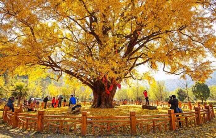 湖北随州十大旅游景点排名，随州一日游去哪里比较好
