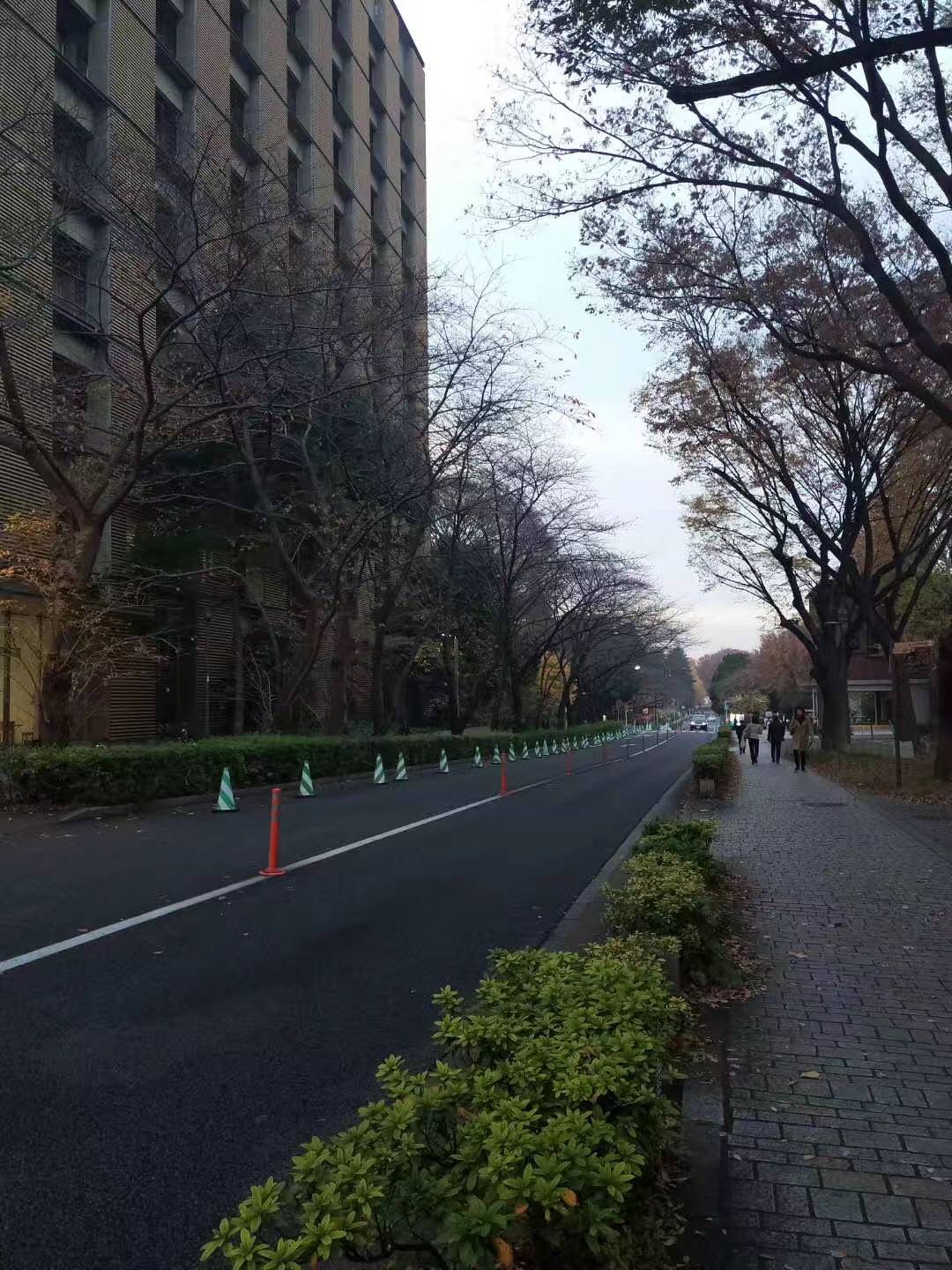 2021年日本人最想居住的城市排行榜