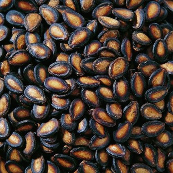 西瓜子品牌排行榜