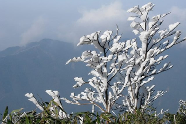 广东十大赏雪旅游景点排行 广东看雪旅游景点推荐