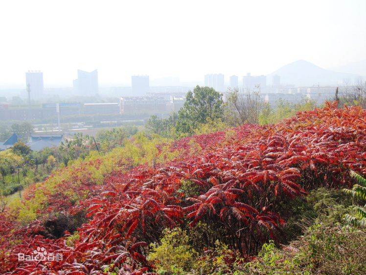 滨州十大旅游景点推荐
