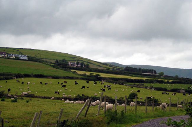 爱尔兰十大最佳旅游景点
