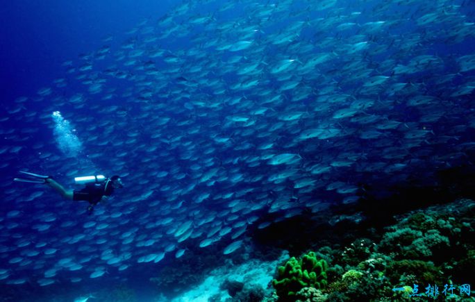 菲律宾旅游景点排行