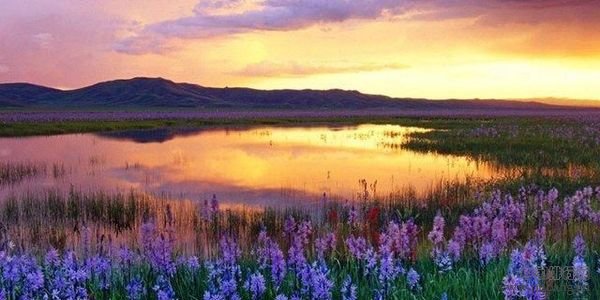 六月旅行目的地排行榜,不负夏日时光