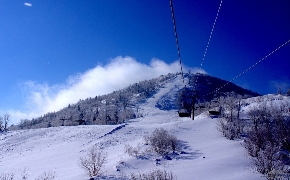 2016年最幸福城市排名