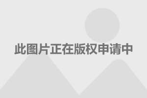 大学专业单身率排行榜