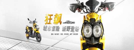 电动自行车排名_2013-2014年电动自行车十大品牌排行