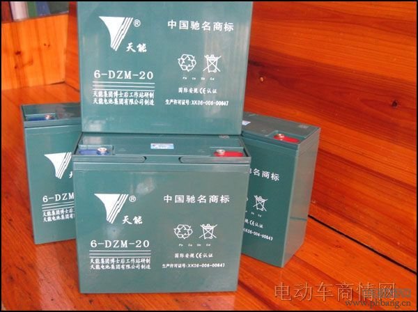 2013电动车电池品牌排行榜