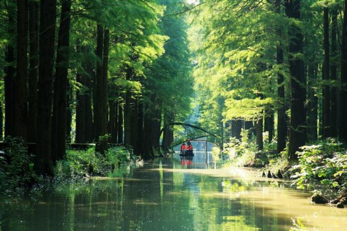 江苏泰州有什么好玩的地方?江苏泰州十大必玩景点