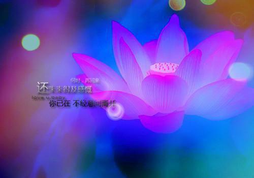 夏羽薇周时砚什么小说 夏羽薇周时砚全文免费阅读
