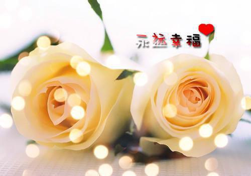 玉兰商扶砚朝华最新章节免费 玉兰商扶砚朝华第3章在线阅读