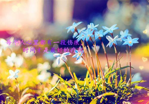 爱随流水去：+全文+后续：廖致轩曲静琪最新章节列表_爱随流水去：+全文+后续（廖致轩曲静琪）我在回忆里万劫不复免费：全文+后续+结局在线阅读