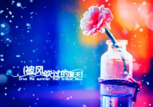 李云峰石达开最后结局 李云峰石达开完结版免费阅读