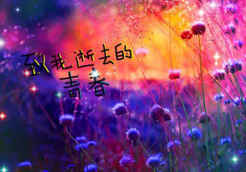重生后，极品校花倒追我倾心编著（王杰周采月）全文浏览_重生后，极品校花倒追我倾心编著全文浏览