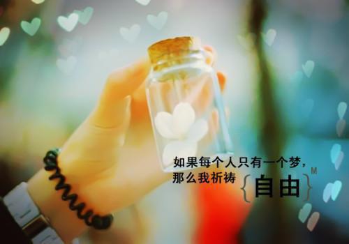重生不做大冤种，傲娇校花你哭啥叶三迟 程小豪苏梅小说