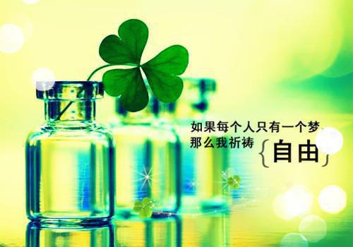 林薇小说在哪里看 林薇在线阅读