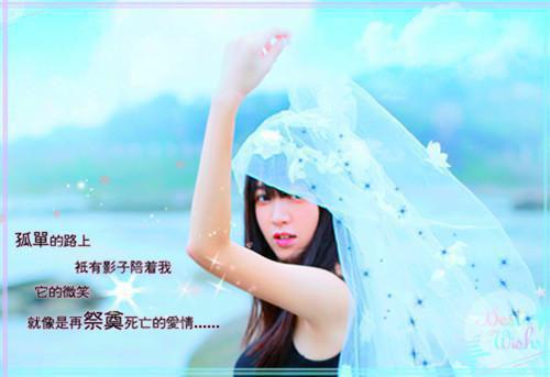 陆泽时念免费章节最新 他曾爱我似骄阳by佚名
