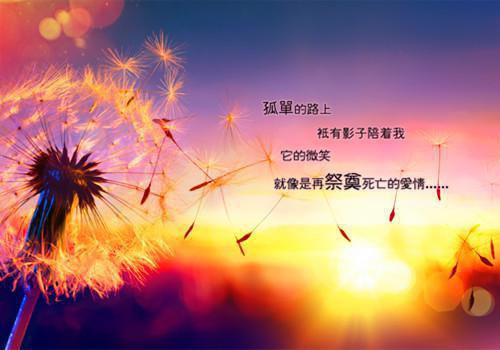 林只只姜时愿陆景年小说名字 重生后，手撕爱上贫困生的保姆儿子的小说免费章节试读