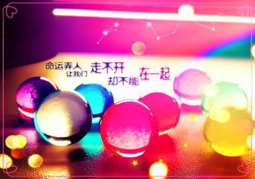 陆宴姜语孟琼陈漾小说名字 陆宴姜语孟琼陈漾全文免费阅读